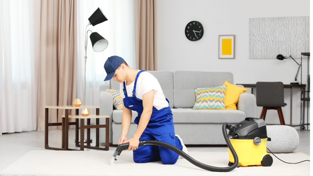 Carpet cleaning services action photo